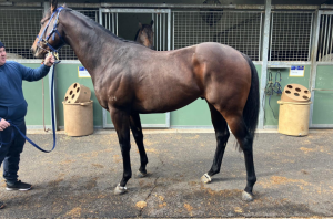 Read more about the article Chairman’s Letter – April 2024