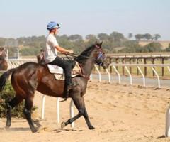 Read more about the article Introducing Table Twentyeight