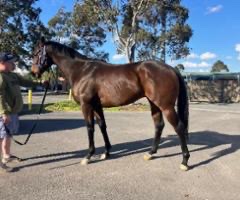 Read more about the article Table Twentyeight returns to training