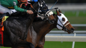 Read more about the article Victorian Club Memberships are due soon!