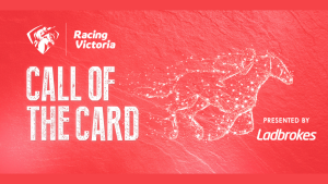 Read more about the article Join the action and excitement of the 2025 Call of the Card